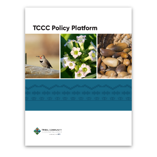 Policy Platform Report Cover